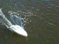 Fabe's RC electric boat upgraded