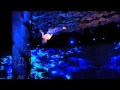 Cavalia preview