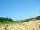 dal?� skoky