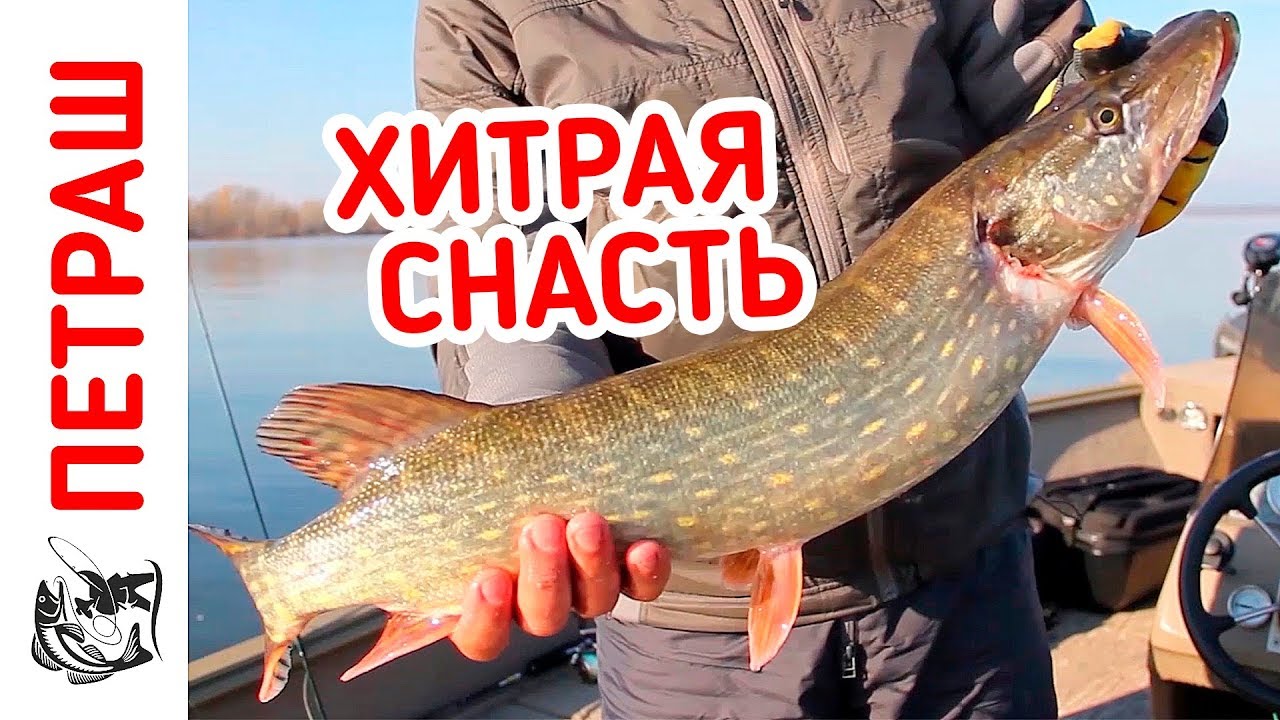 все о рыбалке лов щуки все о рыбалке лов щуки