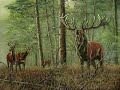 Wildlife Painter Nico Bulder, Dutch Art Wildlife Painter Nico Bulder, Dutch Art
