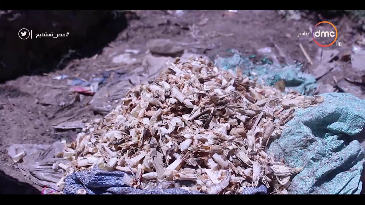 مصر تستطيع - مشروع لـ " إيناكتس " عين شمس .. قرية شكشوك تحول قشر الجمبري إلى سماد عضوي
