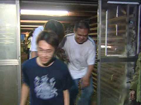 YouTube Preview Image