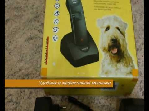 Фокстерьер машинка для стрижки Фокстерьер машинка для стрижки