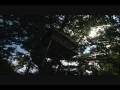 videos de BBC Look East August 2008