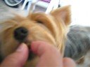 lola eats
