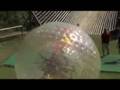 Zorb Dad