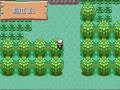 Pokemon emerald 386: This is It (READ DESCRIPTION)