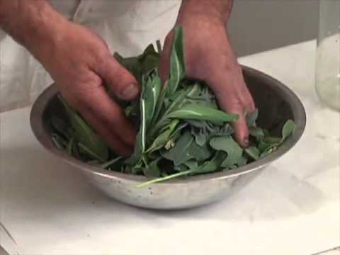 how to use dharma dye