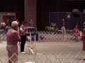 2006 AKC National Obedience Invitational  - Winner