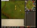 videos de Runesca