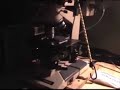 Microscopy at sea!