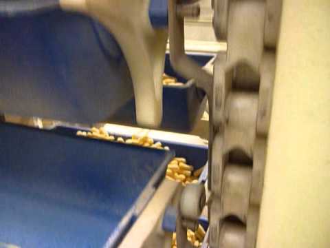 Swinglink Bucket Elevator - Snack Foods