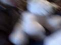 videos de Jan 05 2009 - VID00011