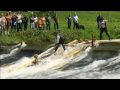 Video ansehen