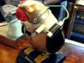 Lorro robot Lorro robot
