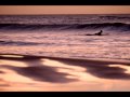 Outdoor Sports Photography by Alexandre Cappi