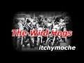 Wild Hogs