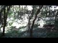 videos de Procurando buc***