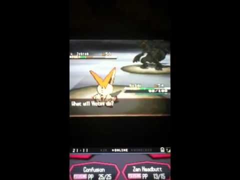 how to rebattle n in pokemon white 2