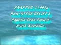 Fishing - Snapper on Lures