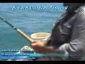 Fishing - Snapper on Lures