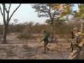 Ver Video