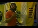 FAN HALEN INTRO