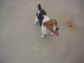 JACKKK