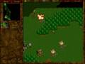 Warcraft 2 1v1
