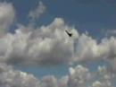 3D RC JET