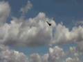 3D RC JET