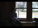 The Window.mov The Window.mov