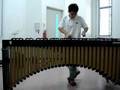 Flight of the Bumblebee  Marimba solo 