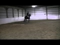Lucy and the Trot Poles