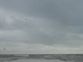 Stephenville occean2
