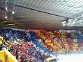 DIF hockey TIFO DIF hockey TIFO
