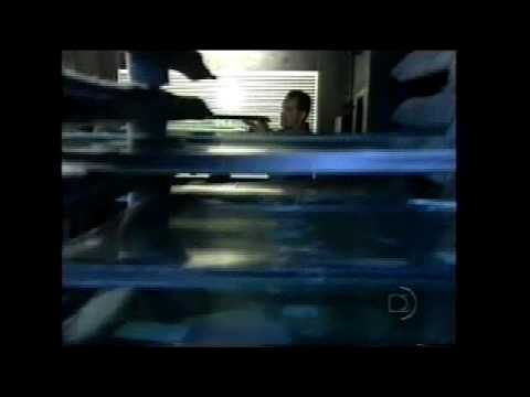 Bullet Proof Demo