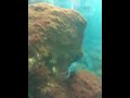 Aquarium in Monterey