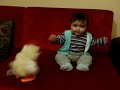Tavukla dans eden bebek
