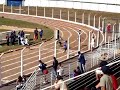 final 100 metros rasos   joju 2008