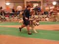 NS09BestOfBreed