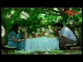 Ridhima (Manjula Swaroop) - an executive from Delhi-based pharmaceutical company visits a remote village in AP to make a deal on patents with a professor who invented a new drug. The professor leaves a note that he would return late as he had to attend some urgent work and she shall wait for his arrival. At that time Madhav Rao, a junior lawyer who supervises the event of patent selling arrives at that place. The events that take place for a few hours between these two are the most interesting aspect to be watched.