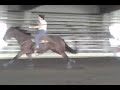 Pep N Zip 2008_11_10_15_10_36.wmv