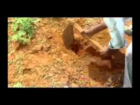how to collect soil samples