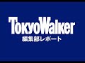 雨中の浅草サンバカーニバル2008⑤【TokyoWalker】