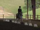 Connemara pony for sale, dressage test Connemara pony for sale, dressage test