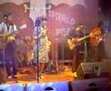 white shoes and the couples company - windu & defrina