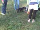 Leela & Lacey, Hartwood Acres