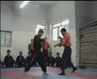 kungfutoa